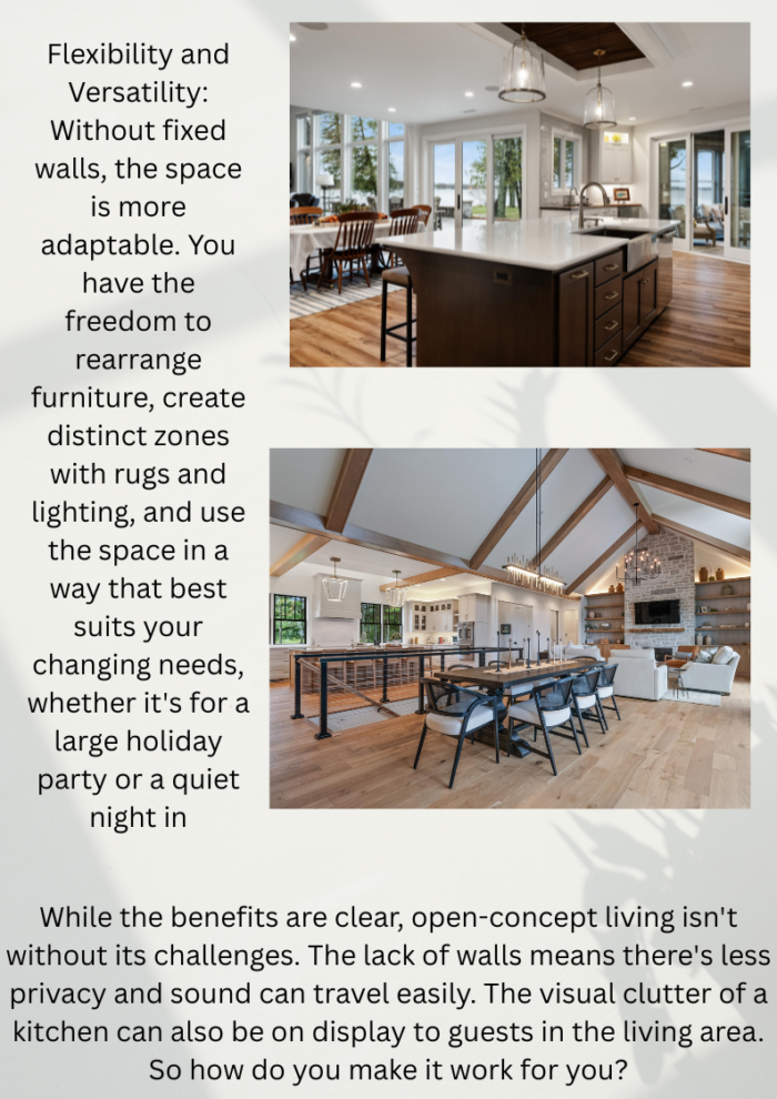 Open concept living article