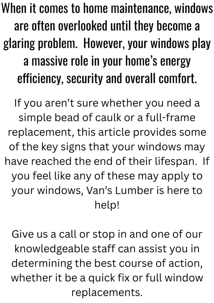 Window Replacement article