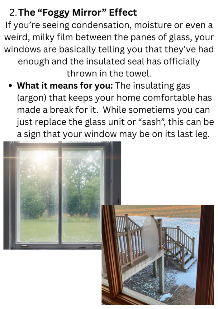 Window Replacement article